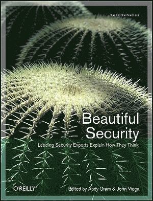 Beautiful Security 1