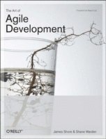 bokomslag The Art of Agile Development