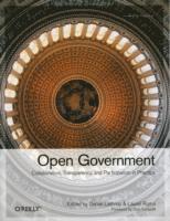 bokomslag Open Government: Collaboration, Transparency, and Participation in Practices