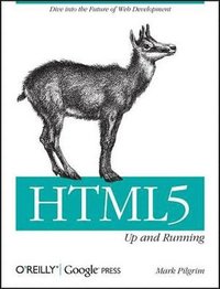 bokomslag HTML5 - Up and Running