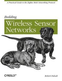 bokomslag Building Wireless Sensor Networks