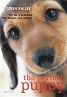 Gwen Bailey - Perfect Puppy, Häftad