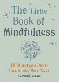 bokomslag Little Book of Mindfulness