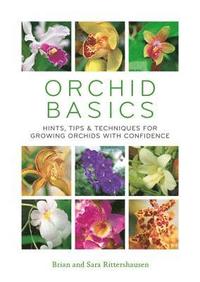 bokomslag Orchid Basics: Hints, Tips & Techniques to Growing Orchids with Confidence