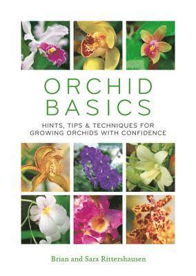 Orchid Basics 1
