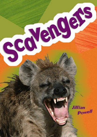 Jillian Powell - Pocket Facts Year 5: Scavengers, Häftad