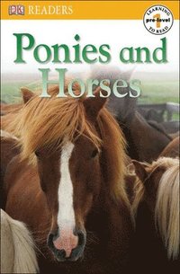 bokomslag Ponies and Horses