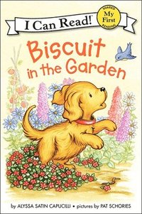 bokomslag Biscuit in the Garden