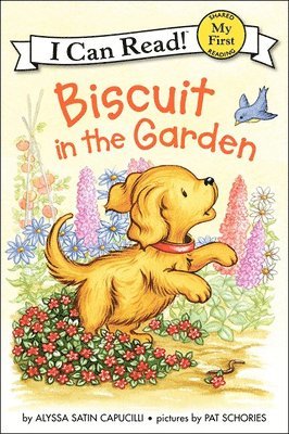 Biscuit in the Garden 1