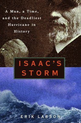 bokomslag Isaac's Storm