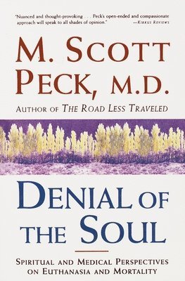 bokomslag Denial of the Soul: Spiritual and Medical Perspectives on Euthanasia and Mortality