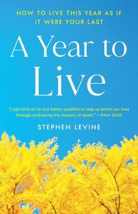 bokomslag A Year to Live: How to Live This Year as If It Were Your Last