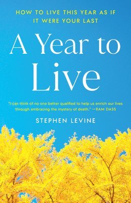 bokomslag A Year to Live: How to Live This Year as If It Were Your Last