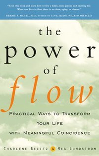 bokomslag The Power of Flow
