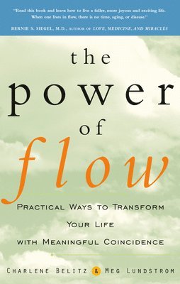 bokomslag The Power of Flow