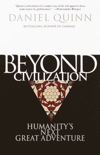 bokomslag Beyond Civilisation