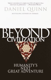 bokomslag Beyond Civilization