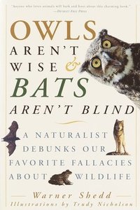 bokomslag Owls Aren't Wise & Bats Aren't Blind