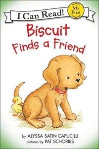 bokomslag Biscuit Finds a Friend