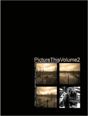 Picture This Volume 2 1