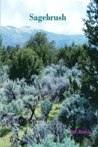 bokomslag Sagebrush