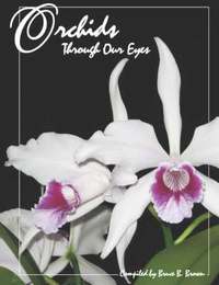 bokomslag Orchids Through Our Eyes