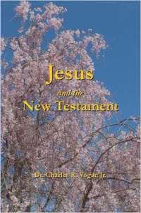bokomslag Jesus and the New Testament