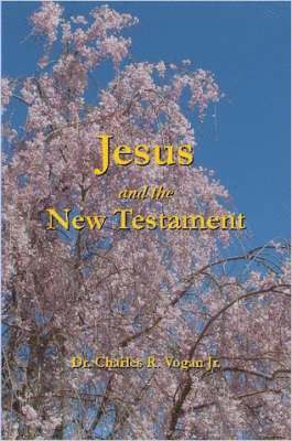 bokomslag Jesus and the New Testament