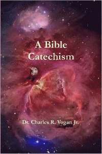 bokomslag A Bible Catechism