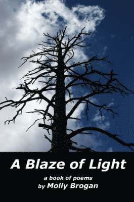 Blaze of Light