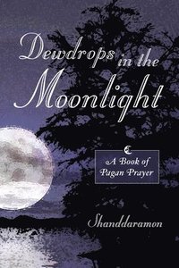 bokomslag Dewdrops In The Moonlight