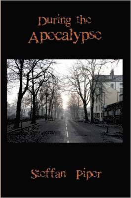 During the Apocalypse 1