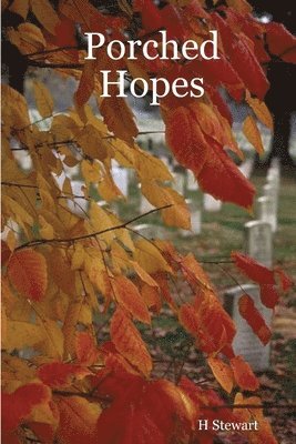 H Stewart, H. Stewart - Porched Hopes, Häftad