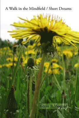 Kevin Mogged - Walk in the Mindfield / Short Dreams, Häftad