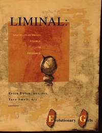 bokomslag Liminal: Spaces-in-between Visible and Invisible