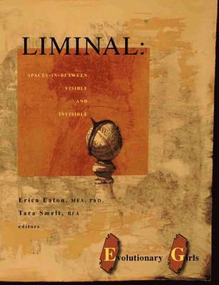 Liminal: Spaces-in-between Visible and Invisible 1