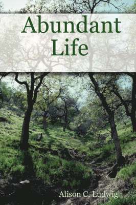 Abundant Life 1