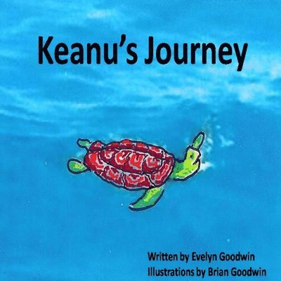 Evelyn Goodwin - Keanu's Journey, Häftad