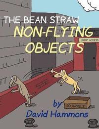 bokomslag Bean Straw: Non-Flying Objects