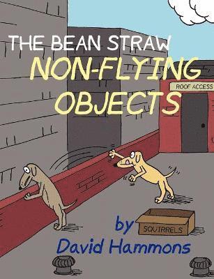 bokomslag Bean Straw: Non-Flying Objects