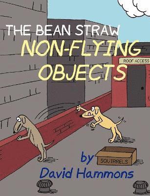 bokomslag The Bean Straw: Non-Flying Objects