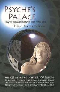 bokomslag Psyche's Palace: How the Brain Generates the Light of the Soul