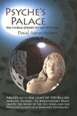 bokomslag Psyche's Palace: How the Brain Generates the Light of the Soul