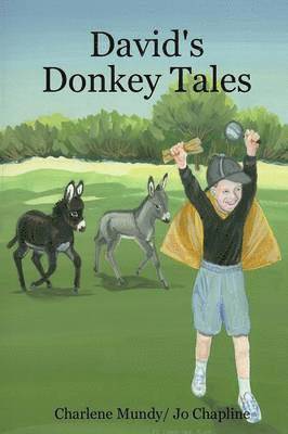 bokomslag David's Donkey Tales