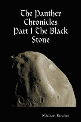 bokomslag The Panther Chronicles: Part I The Black Stone