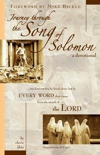 bokomslag Journey Through the Song of Solomon