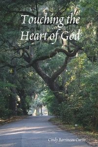 bokomslag Touching the Heart of God