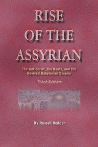bokomslag Rise of the Assyrian