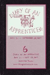 bokomslag Diary of an Apprentice 6