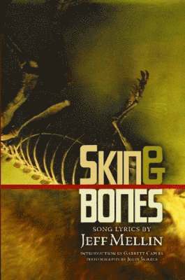 bokomslag Skin & Bones